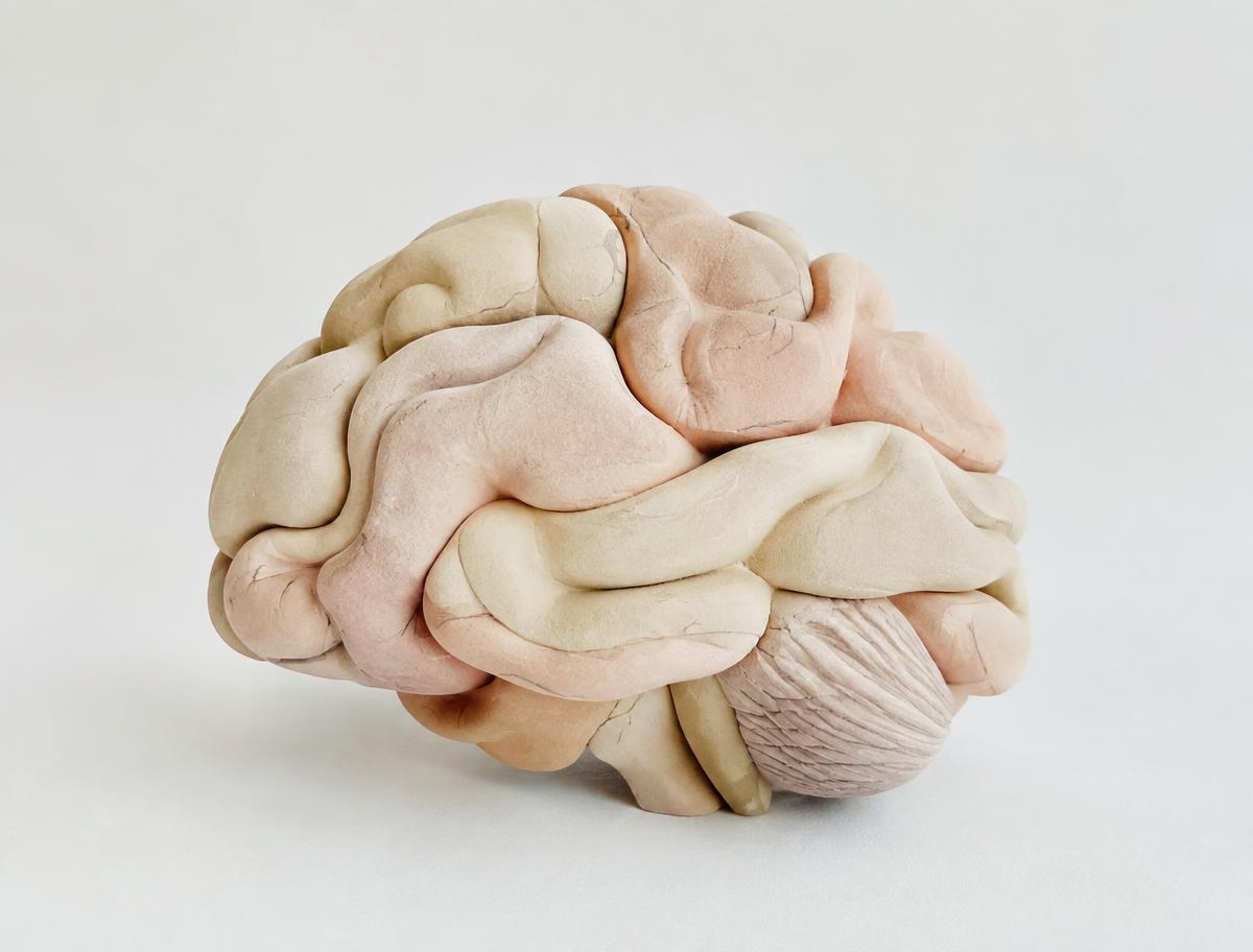 Olhar neuropsicológico